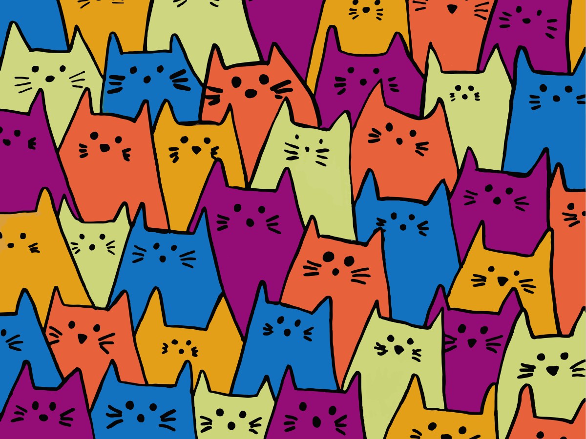 Multi Color Cats